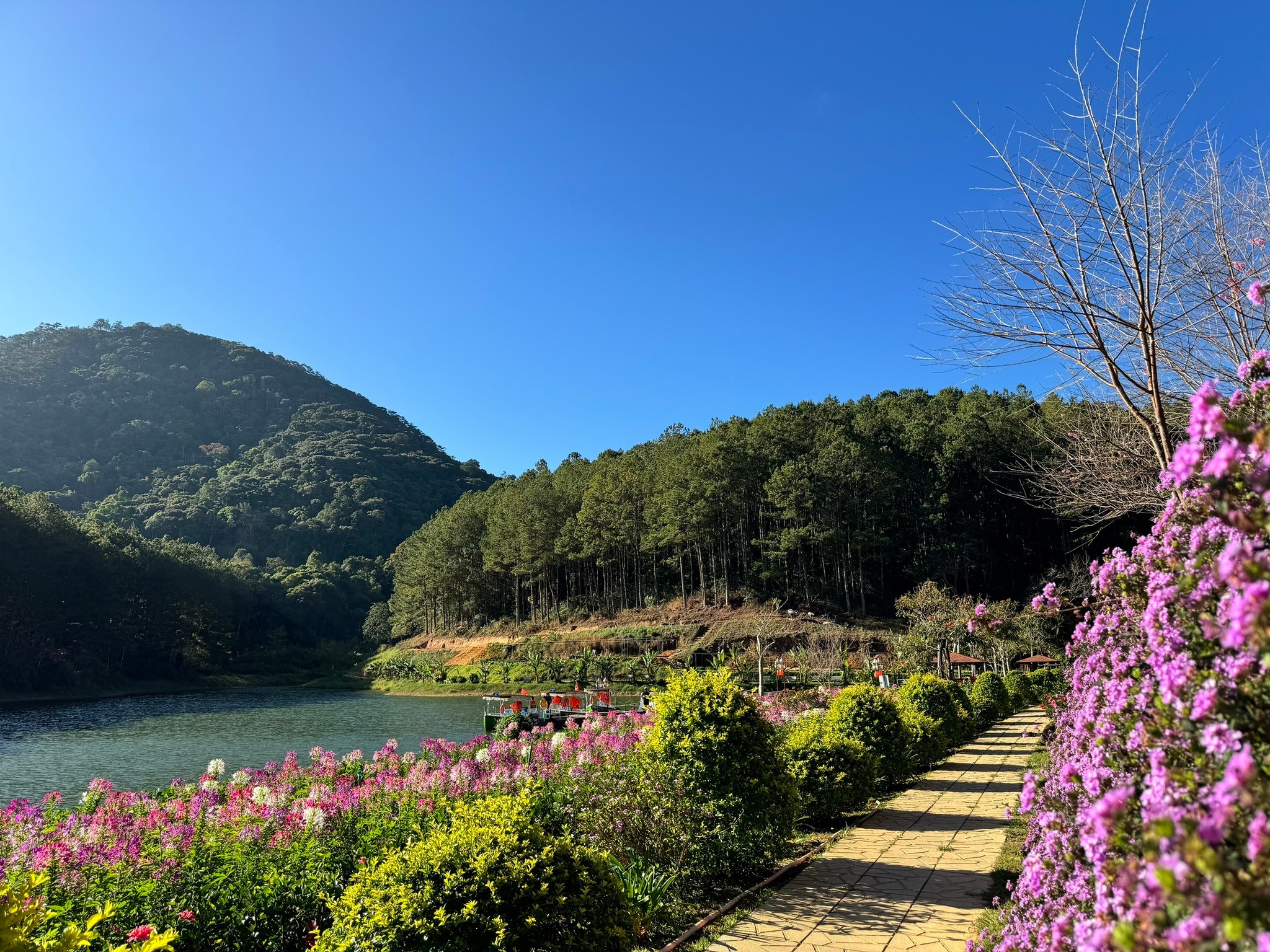 Thiên nhiên chữa lành tại resort riêng tư Edensee Lake Đà Lạt