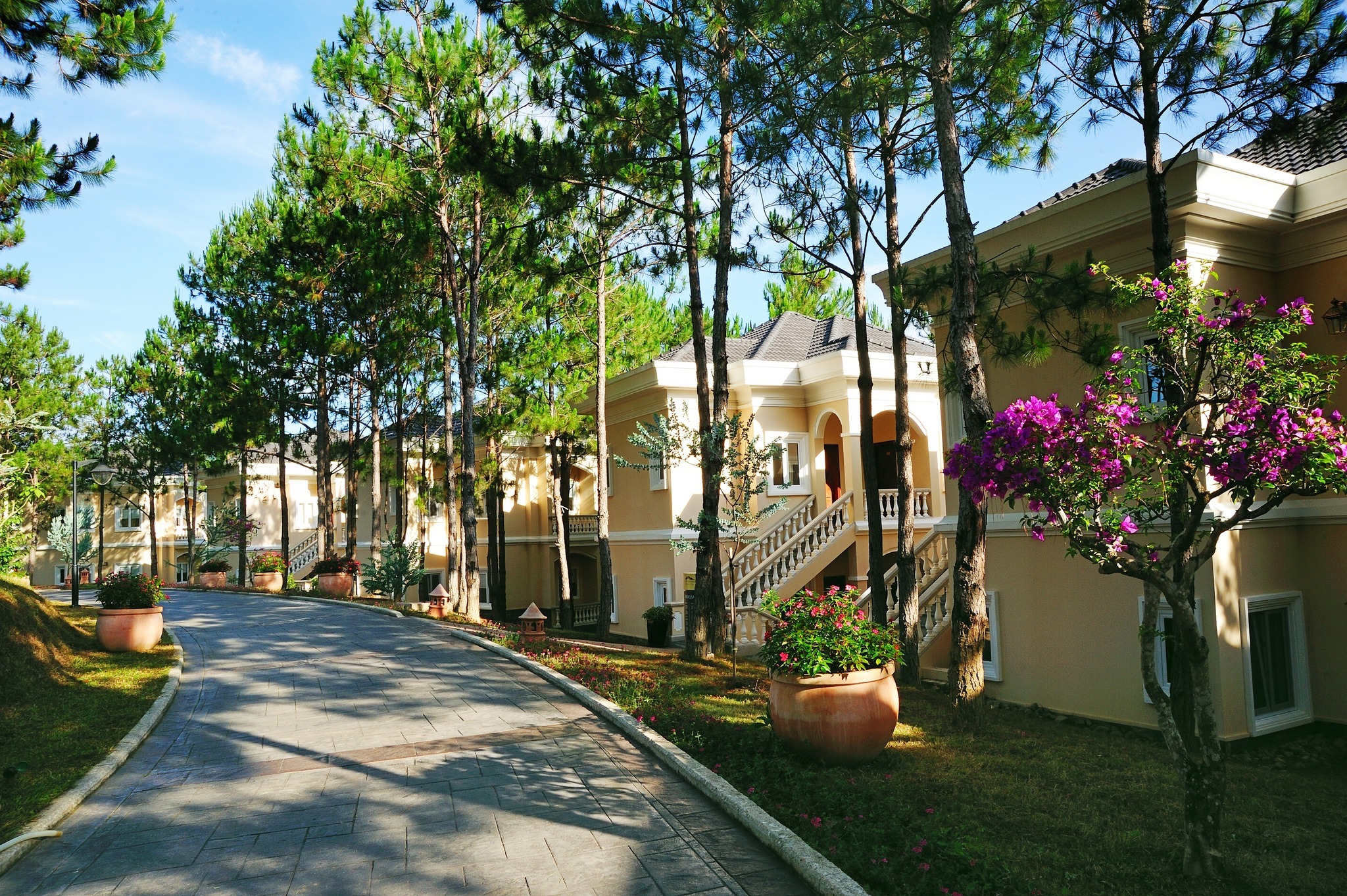 Resort riêng tư giữa rừng thông Edensee Lake Đà Lạt