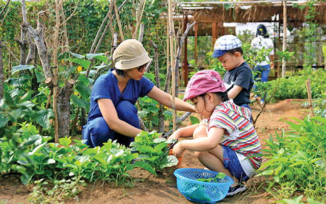 Family Garden