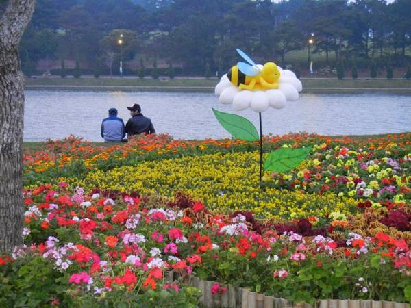 Sắc hoa tươi thắm rực rỡ được trồng dọc theo bờ Hồ Xuân Hương trong dịp Festival Hoa Đà Lạt 2015