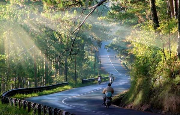 Cung đường tuyệt đẹp lên Đà Lạt. Ảnh: saigonplus.net