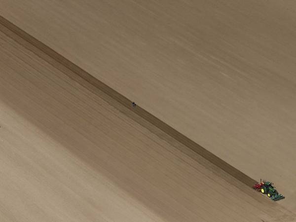 Nông dân gieo hạt trên cánh đồng miền Bắc Pháp