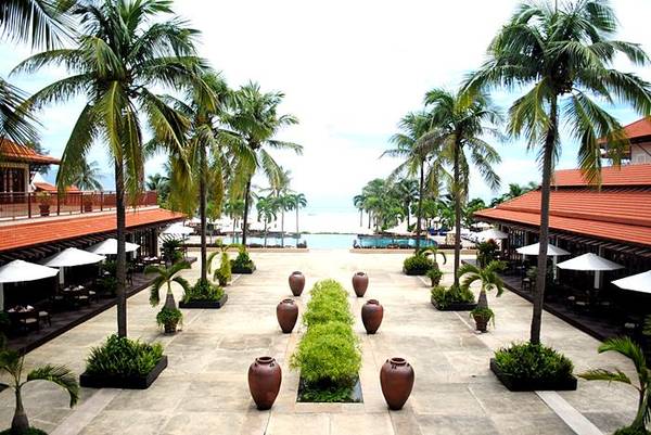 Lặn ngắm san hô trong lòng biển Sơn Trà