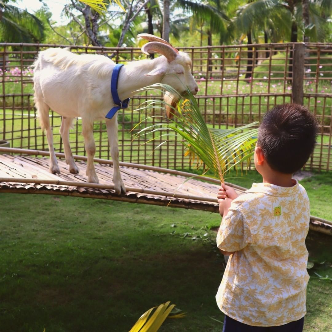 Trải nghiệm nông trại Fusion Farm Phú Quốc