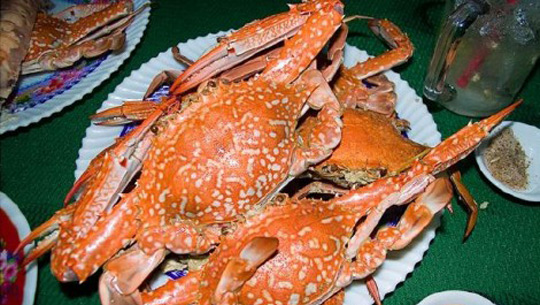 ghe-Ham-Ninh
