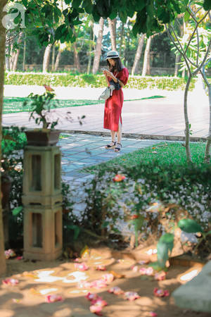 ghe-hue-vao-chua-thien-mu-400-nam-tuoi-ngam-nhung-doa-sala-hoa-cua-su-yen-lanh-ivivu-11 ghe-hue-vao-chua-thien-mu-400-nam-tuoi-ngam-nhung-doa-sala-hoa-cua-su-yen-lanh-ivivu-11
