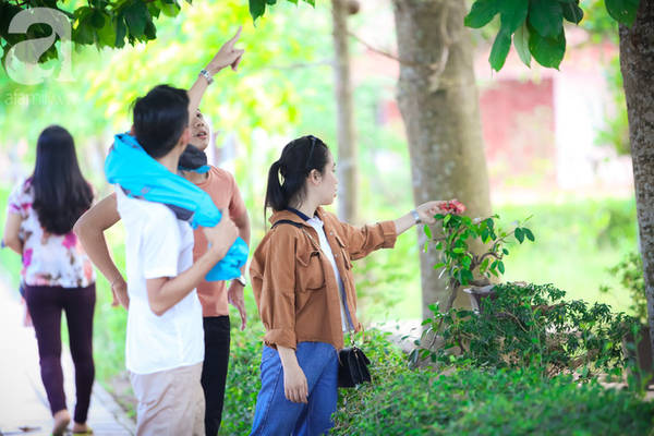 ghe-hue-vao-chua-thien-mu-400-nam-tuoi-ngam-nhung-doa-sala-hoa-cua-su-yen-lanh-ivivu-15 ghe-hue-vao-chua-thien-mu-400-nam-tuoi-ngam-nhung-doa-sala-hoa-cua-su-yen-lanh-ivivu-15