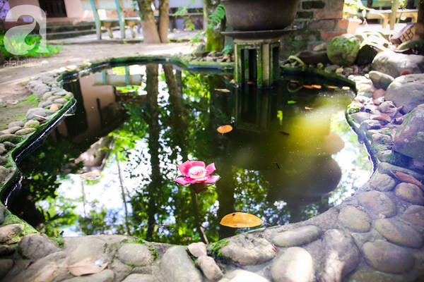 ghe-hue-vao-chua-thien-mu-400-nam-tuoi-ngam-nhung-doa-sala-hoa-cua-su-yen-lanh-ivivu-6 ghe-hue-vao-chua-thien-mu-400-nam-tuoi-ngam-nhung-doa-sala-hoa-cua-su-yen-lanh-ivivu-6