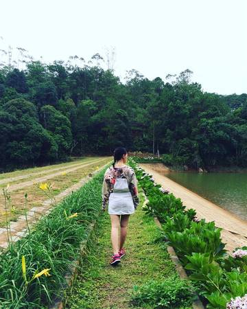 Không gian thơ mộng biệt thự Giao Hưởng Xanh
