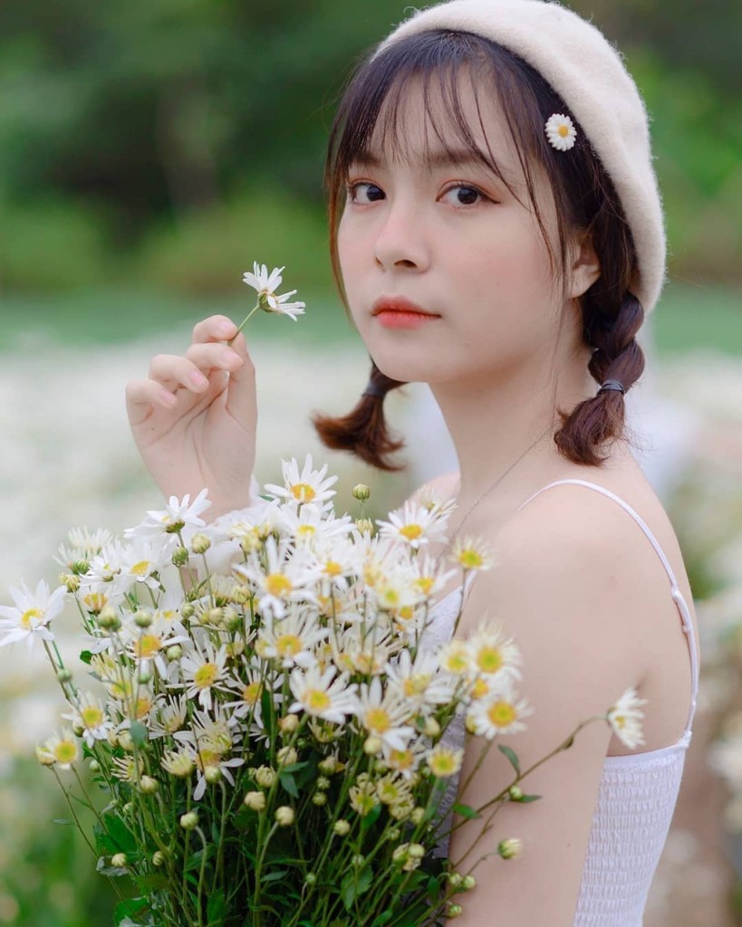 Check-in cúc họa mi Hà Nội vào buổi sáng sớm Check-in cúc họa mi Hà Nội vào buổi sáng sớm