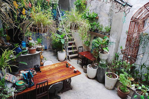 Đây là nơi bạn có thể ngắm người làm hoa làm công việc rất thơ của mình.