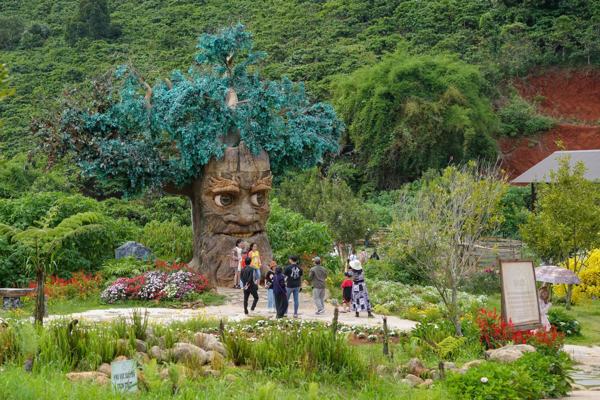 Cảnh quan trên đường đến GOD Valley Đà Lạt
