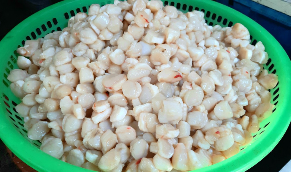 Cơ trai tươi để chế biến gỏi cơ trai Cô Tô. Ảnh: Việt Giải trí