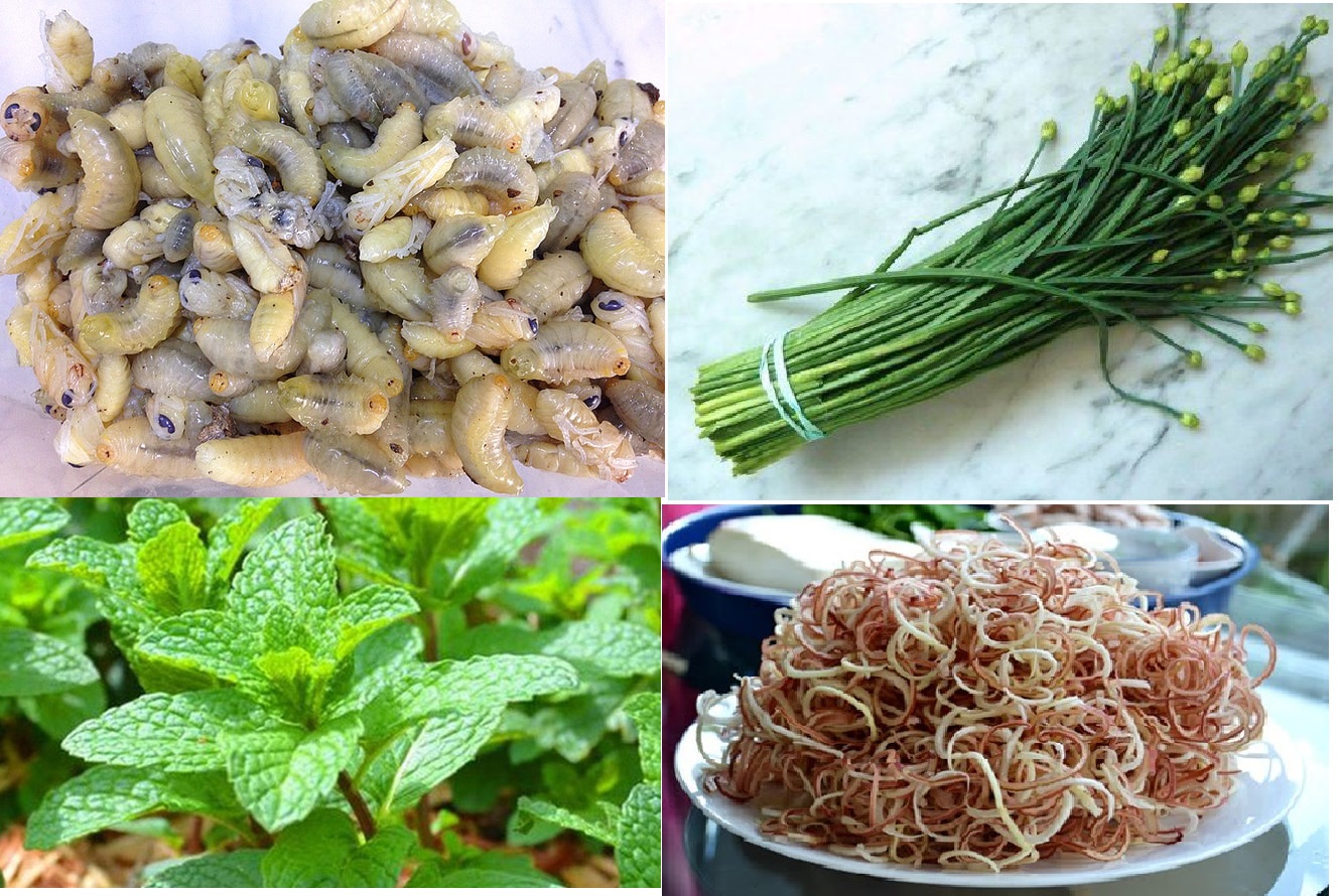 Nguyên liệu làm gỏi nhộng ong Cà Mau