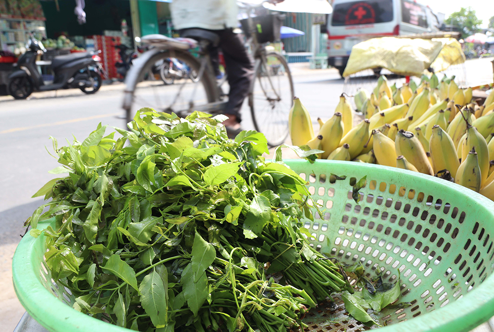 Lá sầu đâu được bán nhiều ở chợ An Giang