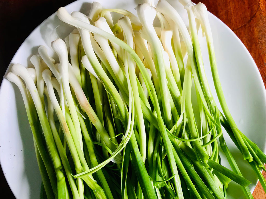 Tỏi đực Lý Sơn