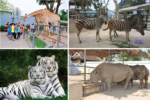 Các bé tương tác với động vật khi đi du lịch mùa hè