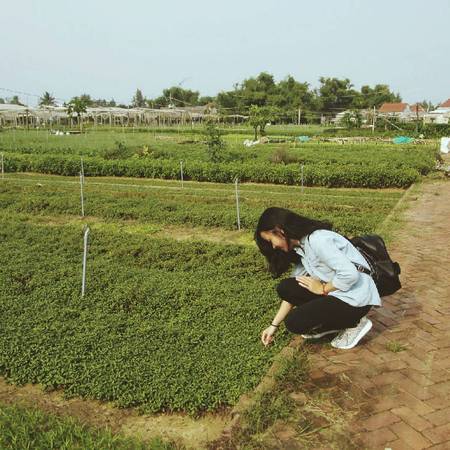 Rau sạch Trà Quế Hội An
