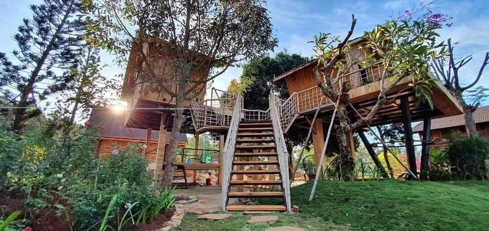 Hoạt động trải nghiệm tại Green Field Farm Stay
