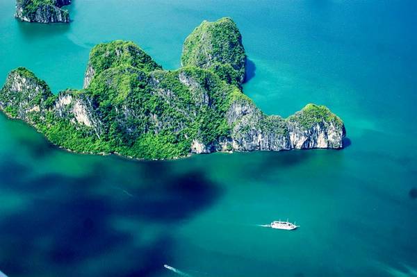 Bên cạnh đó, vịnh Hạ Long còn là nơi tập trung đa dạng sinh học cao với những hệ sinh thái điển hình cùng với hàng nghìn loài động thực vật vô cùng phong phú, đa dạng. Ảnh: Phạm Duy Long
