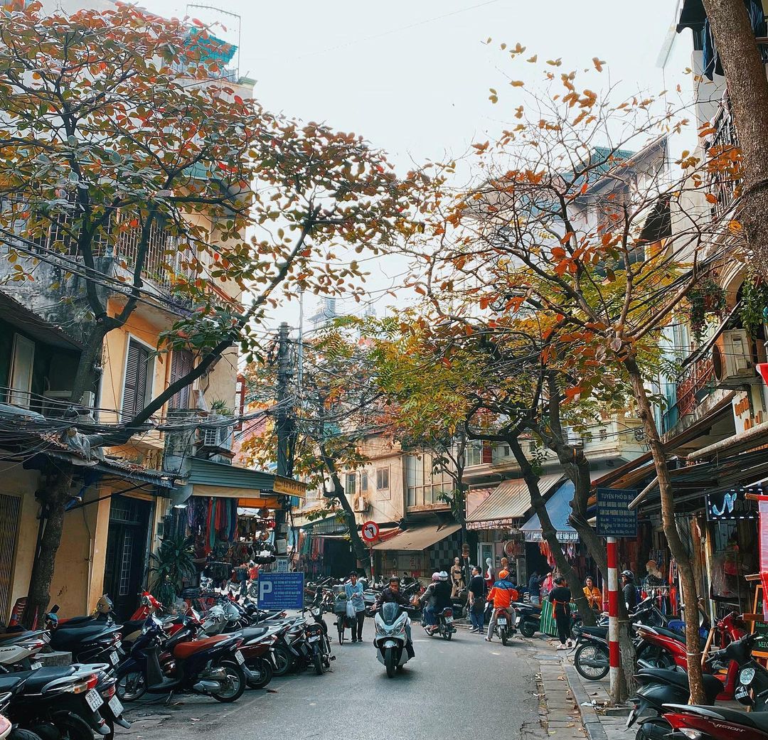 ha-noi-36-pho-phuong-toanduonga