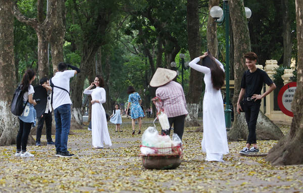 Hà Nội mùa lá vàng được người dân lưu giữ