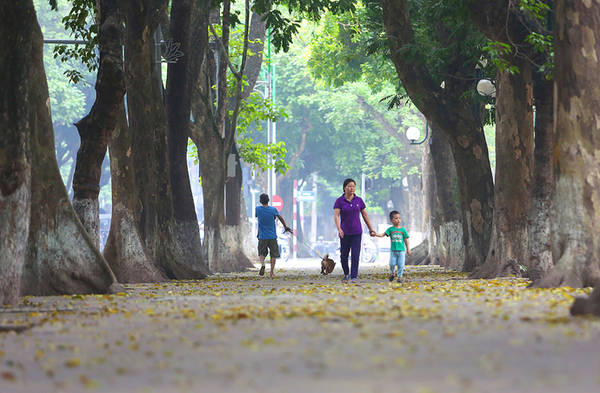 Hà Nội mùa lá vàng trên tuyến đường Phan Đình Phùng