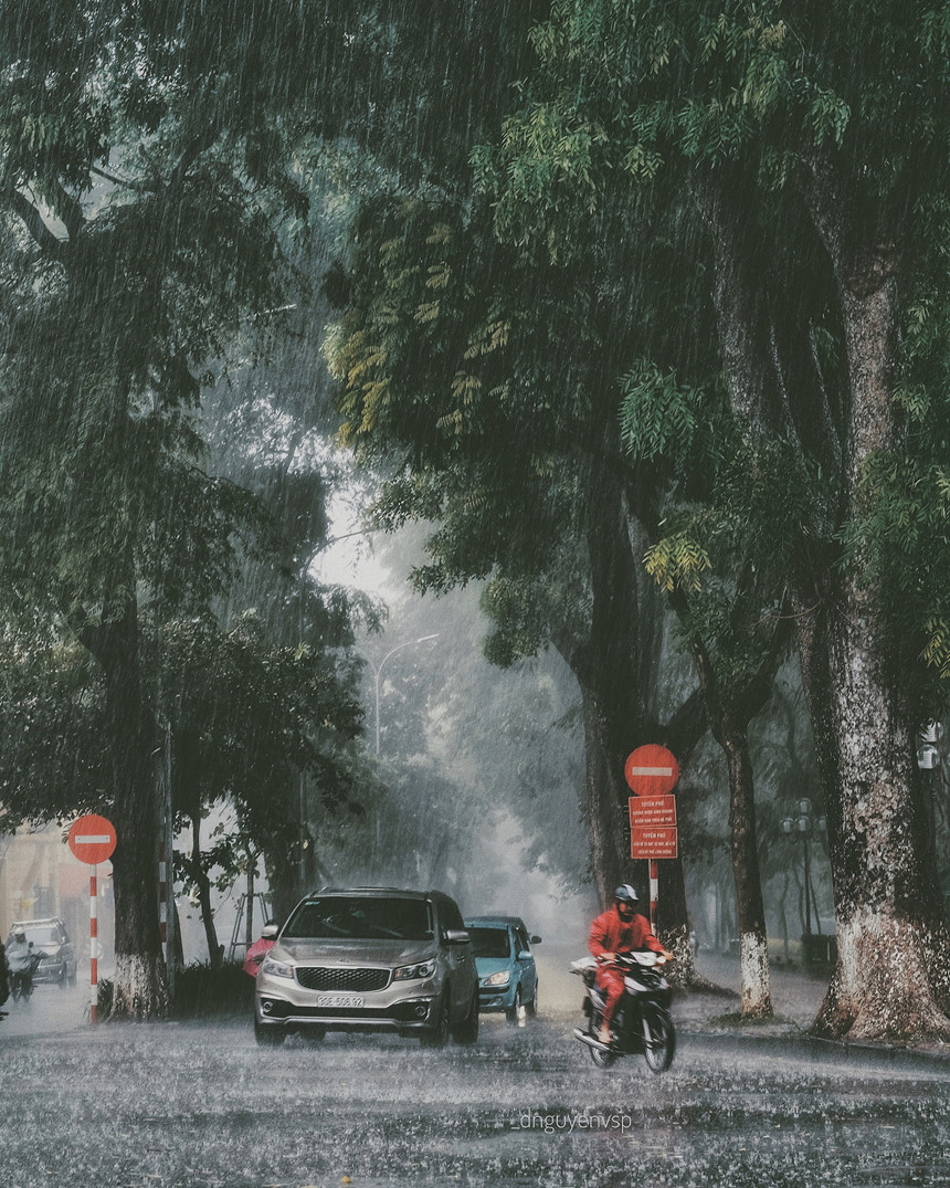 ha-noi-nhung-ngay-lang-nguoi-ngam-con-mua-ivivu-10 ha-noi-nhung-ngay-lang-nguoi-ngam-con-mua-ivivu-10