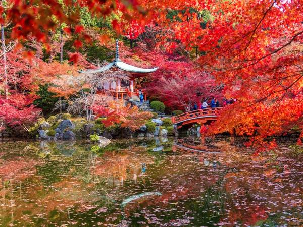 Cố đô Kyoto Nhật Bản là điểm đến đáng mơ ước nhất thế giới