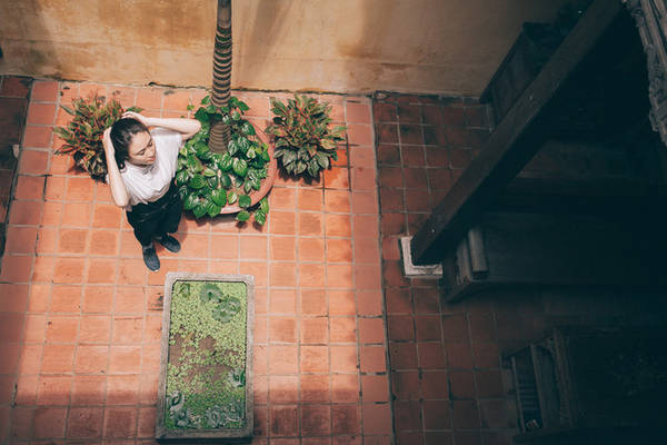 Nhà Hà Nội xưa luôn có một khoảng sân gọi là giếng trời ở giữa khuôn viên nhà