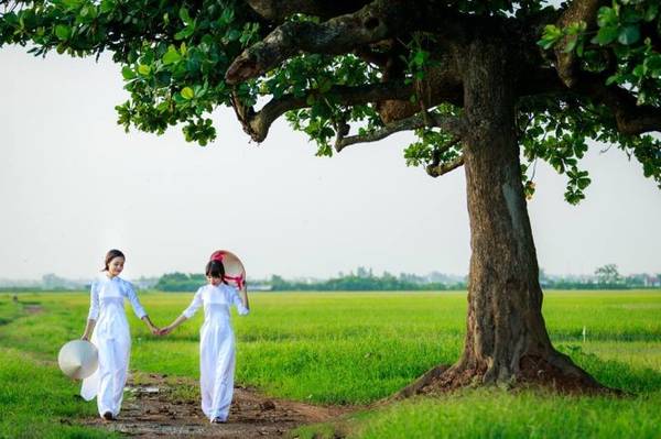 Khung cảnh yên ả thanh bình của làng quê Hà Tây xưa