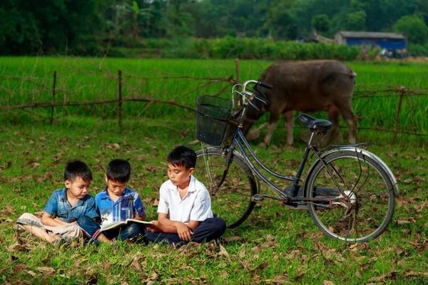 Cảnh đẹp Hà Tây thanh bình mộng mơ dưới nắng chiều