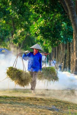 Hình ảnh trẻ thơ vui đùa trên con đường làng Hà Tây