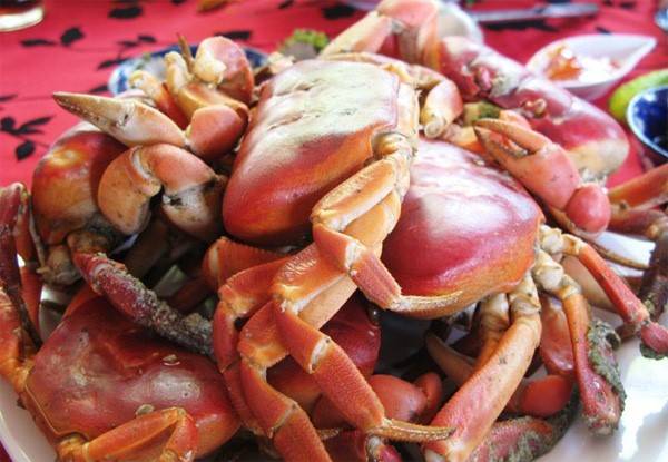 Thịt cua đá có vị ngọt thanh đặc sản Cù Lao Chàm