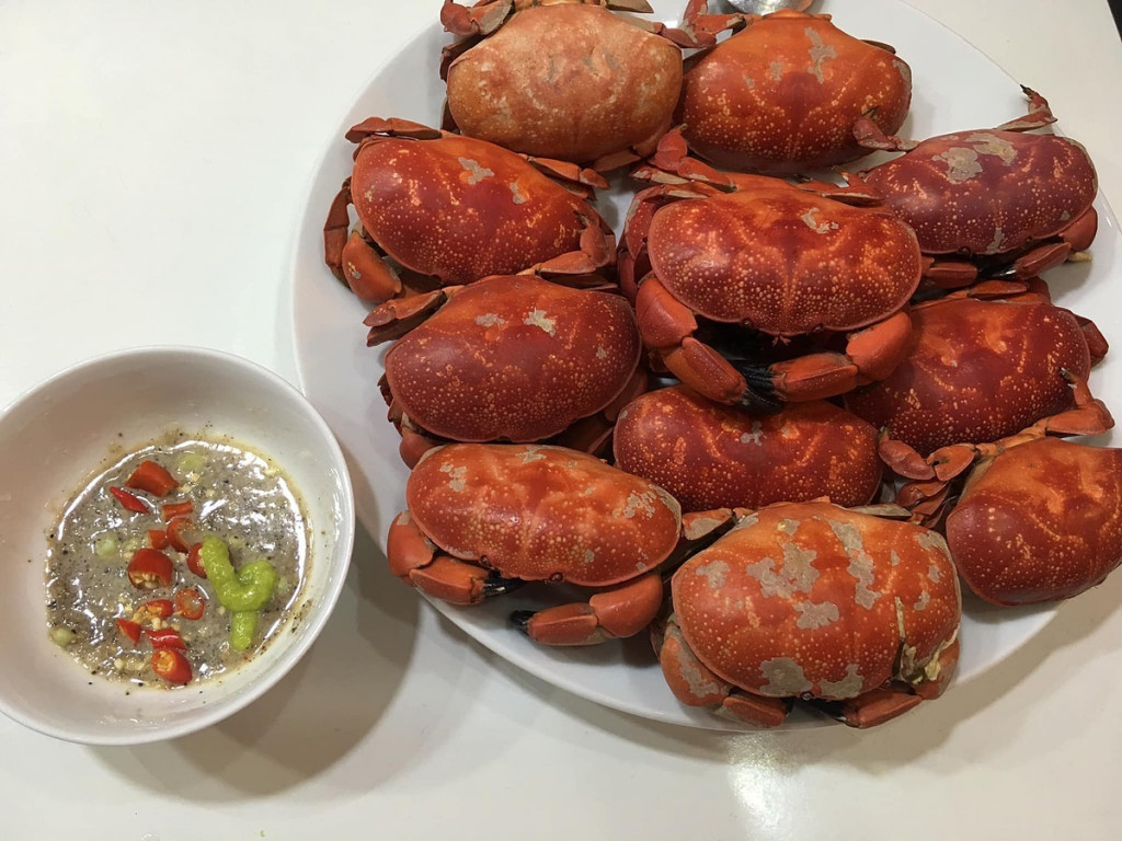 Cù kỳ Cô Tô