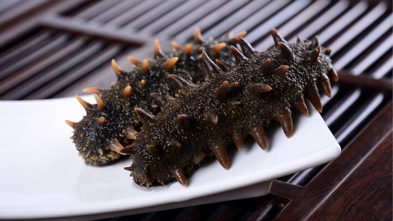 Hải sâm Cô Tô