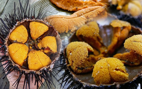 Cầu gai Cô Tô