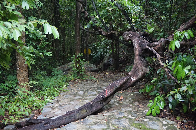 Hang -Đức- Mẹ-ivivu-5
