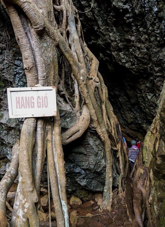 Lối vào Hang Gió Thác Voi hẹp dưới tán cây