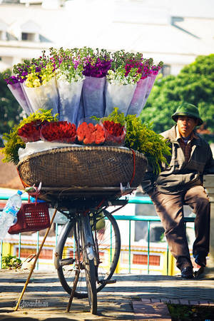 Xe hoa rong Hà Nội chở mùa hoa qua phố cổ Xe hoa rong Hà Nội chở mùa hoa qua phố cổ