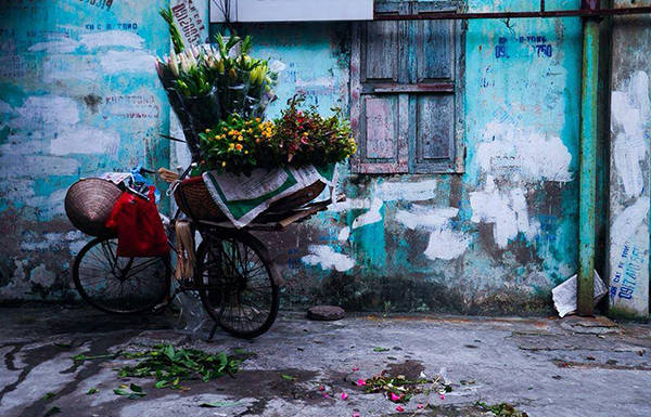 Mùa hoa cúc họa mi trên xe hoa rong Hà Nội Mùa hoa cúc họa mi trên xe hoa rong Hà Nội