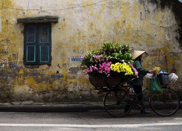 Hương sắc tinh khôi từ xe hoa rong Hà Nội Hương sắc tinh khôi từ xe hoa rong Hà Nội