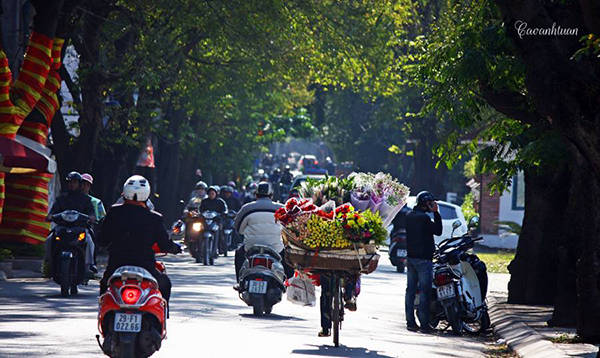 Nét đẹp bình dị từ xe hoa rong Hà Nội trên phố Nét đẹp bình dị từ xe hoa rong Hà Nội trên phố