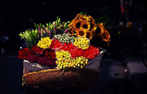 Hình ảnh xe hoa rong Hà Nội quen thuộc mỗi sớm mai Hình ảnh xe hoa rong Hà Nội quen thuộc mỗi sớm mai