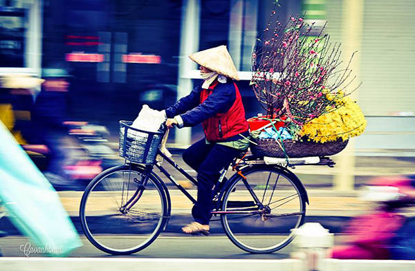 Gánh hoa rong Hà Nội đong đầy nét thu Gánh hoa rong Hà Nội đong đầy nét thu