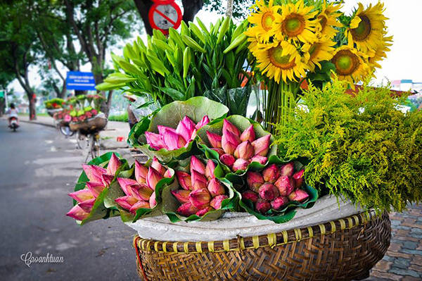 Nụ cười hồn hậu bên xe hoa rong Hà Nội Nụ cười hồn hậu bên xe hoa rong Hà Nội
