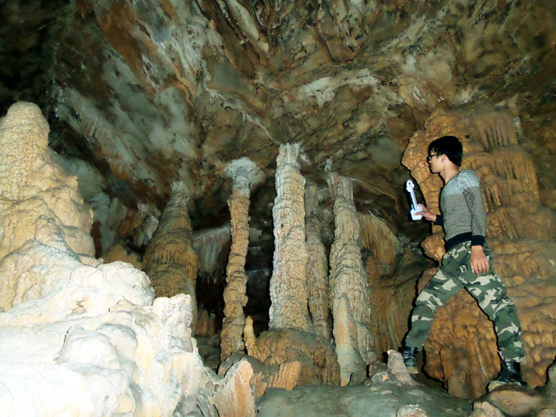 Những cột trụ đá bên trong Hang Nhà Trò Vân Đồn. Ảnh: Báo Quảng Ninh.