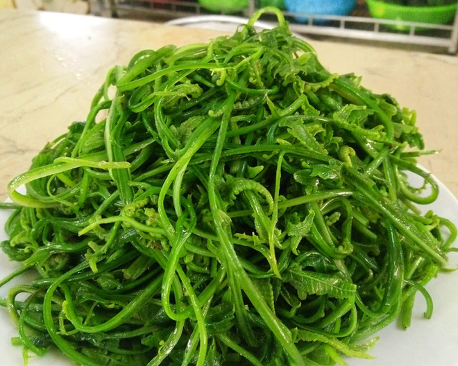 hanh-huong-yen-tu-dung-quen-mua-6-dac-san-ngon-la-rat-xung-dang-nay-ve-lam-qua-ivivu-5 hanh-huong-yen-tu-dung-quen-mua-6-dac-san-ngon-la-rat-xung-dang-nay-ve-lam-qua-ivivu-5
