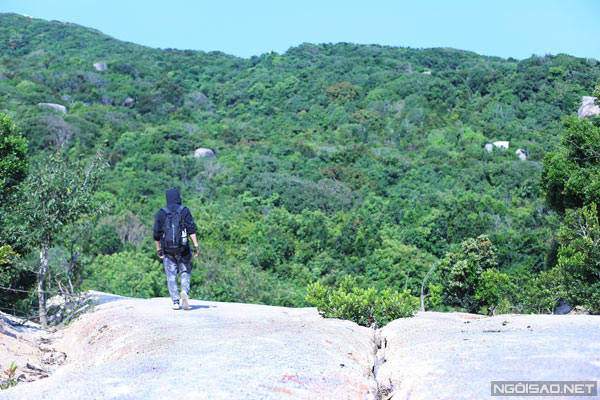 Sắc hoa dại nở rộ bên đường trekking