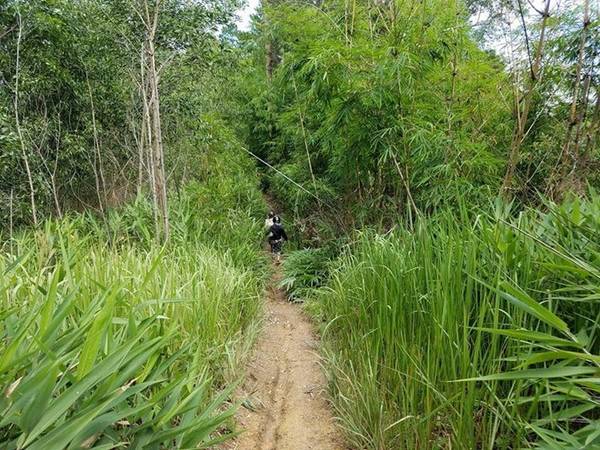Đoạn đường offroad vào rừng khi phượt thác Phi Liêng